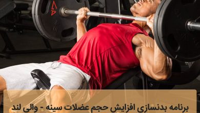 برنامه بدنسازی افزایش حجم عضلات سینه